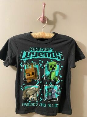Minecraft Legends Kids Black Graphic Tee